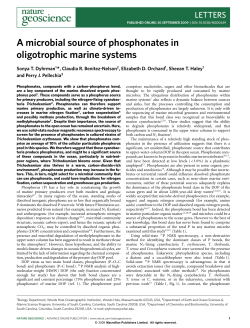 A microbial source of phosphonates in oligotrophic marine systems