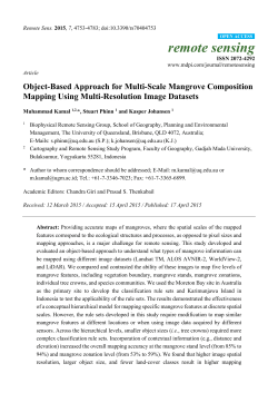 Object-Based Approach for Multi-Scale Mangrove Composition