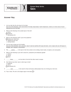 Answer Key: Skin (Grades 3 to 5)