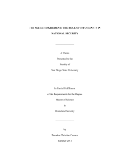 THE ROLE OF INFORMANTS IN NATIONAL SECURITY