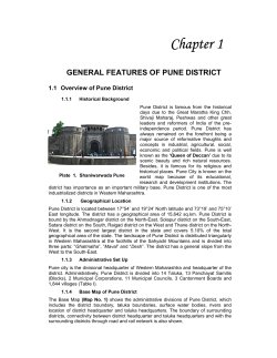 Pune DEA Report 2008