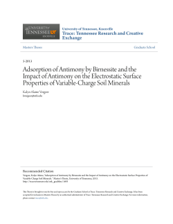 Adsorption of Antimony by Birnessite and the Impact of Antimony on