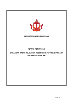 CONSULTATION PAPER final version 2