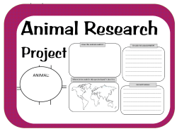 Animal Research Project Graphic Organizers