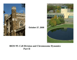 BIOS 95: Cell Division and Chromosome Dynamics Part II