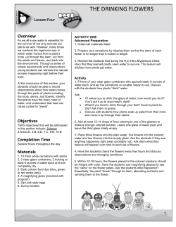 Lesson 4 - The Drinking Flowers