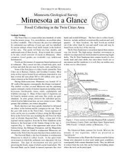 Minnesota at a Glance - University of Minnesota Duluth