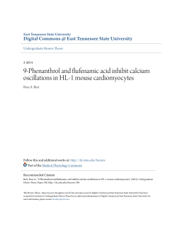 9-Phenanthrol and flufenamic acid inhibit calcium oscillations in HL