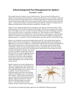 School Integrated Pest Management for Spiders