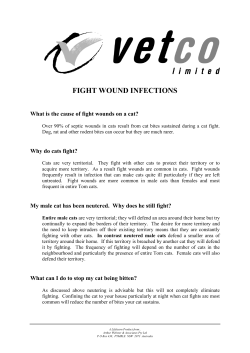 fight wound infections