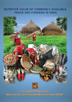 Nutritive Value of Feeds and Fodders in India