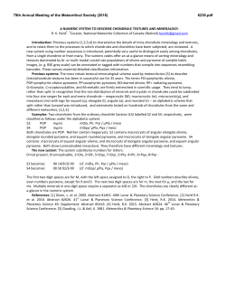 A Numeric System to Describe Chondrule Textures and Mineralogy