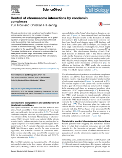 Control of chromosome interactions by condensin complexes