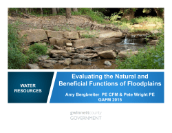 Evaluating the Natural and Beneficial Functions of Floodplains