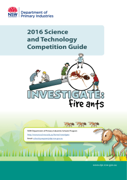 Investigate Fireants Competition Guide