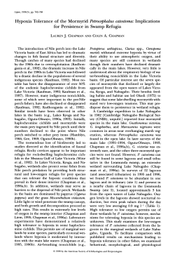 Hypoxia Tolerance of the Mormyrid Petrocephalus