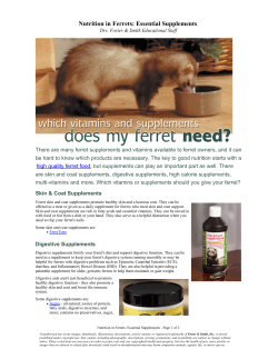Nutrition in Ferrets: Essential Supplements