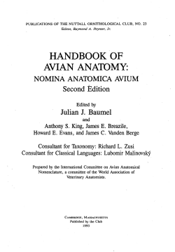 Handbook of avian anatomy