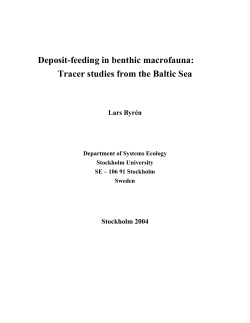 Deposit-feeding in benthic macrofauna: Tracer studies from