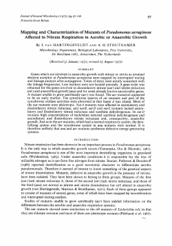 Mapping and Characterization of Mutants of