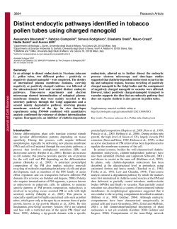 Distinct endocytic pathways identified in tobacco pollen