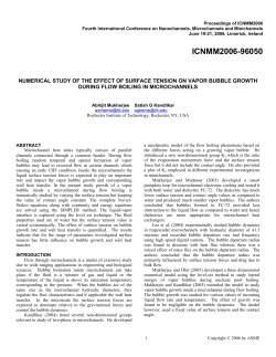 Numerical Study of the Effect of Surface Tension on Vapor Bubble
