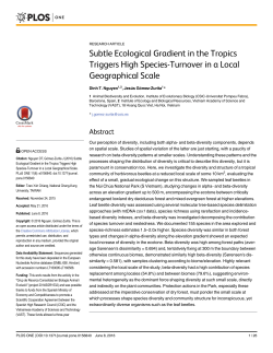Subtle Ecological Gradient in the Tropics Triggers High Species