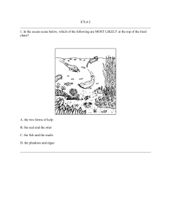 S7L4-2 1. In the ocean scene below, which of the following are