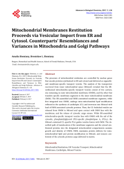 Mitochondrial Membranes Restitution Proceeds via Vesicular Import
