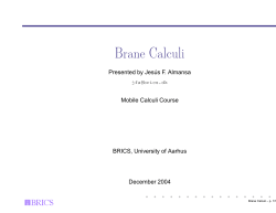 Brane Calculi