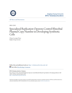 Specialized Replication Operons Control Rhizobial Plasmid Copy