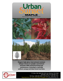 Elegant, high-gloss, heat and pest resistant foliage is borne on