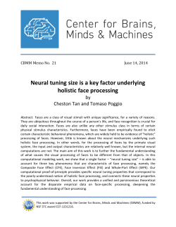 Neural tuning size is a key factor underlying