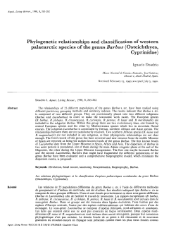 Phylogenetic relationships and classification of western palaearctic