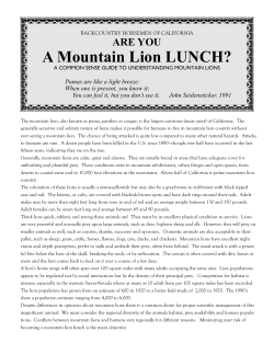Are You a Mountain Lion Lunch?