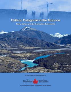 Chilean Patagonia in the Balance