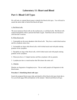 Laboratory 11: Heart and Blood Part 1: Blood