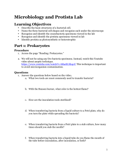 Microbiology and Protista Lab