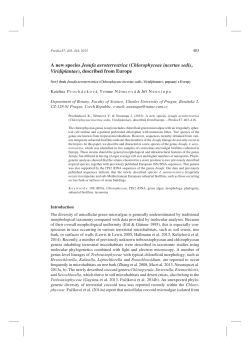 A new species Jenufa aeroterrestrica (Chlorophyceae incertae sedis
