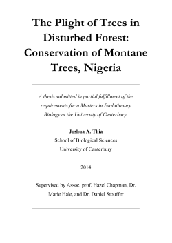 The Plight of Trees in Disturbed Forest