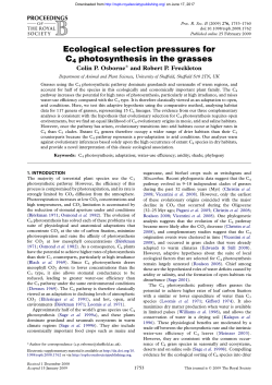 Ecological selection pressures for C4 photosynthesis in the grasses