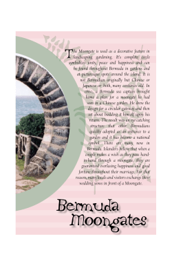 Bermuda Moongates - Jill Henry Design
