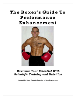 The Boxer`s Guide To Performance Enhancement
