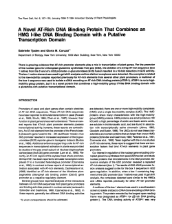A Move1 AT-Rich DNA Binding Protein That