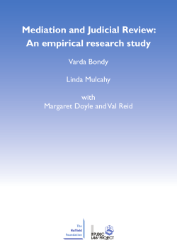 Mediation and Judicial Review