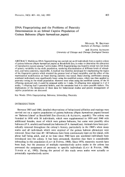 DNA fingerprinting and the problems of paternity determination in an