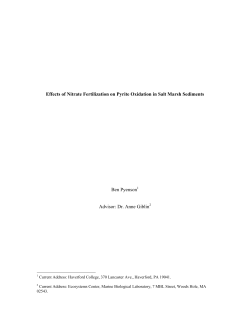 Effects of Nitrate Fertilization on Pyrite Oxidation in Salt Marsh