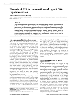 The role of ATP in the reactions of type II DNA topoisomerases