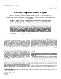 Ca2+-ions and pattern control in Hydra