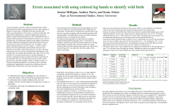 Errors associated with using colored leg bands to